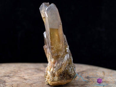 CITRINE Raw Crystal Point - Natural Citrine, Birthstone, Home Decor, Raw Crystals and Stones, 41162-Throwin Stones