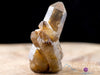 CITRINE Raw Crystal Point - Natural Citrine, Birthstone, Home Decor, Raw Crystals and Stones, 41164-Throwin Stones