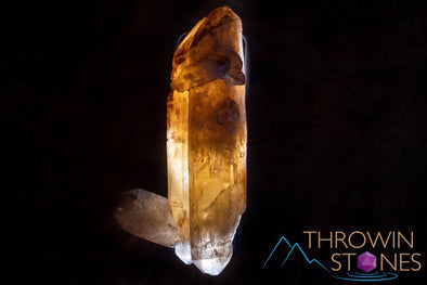 CITRINE Raw Crystal Point - Natural Citrine, Birthstone, Home Decor, Raw Crystals and Stones, 41168-Throwin Stones