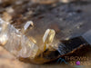 CITRINE Raw Crystal Point - Natural Citrine, Birthstone, Home Decor, Raw Crystals and Stones, 41171-Throwin Stones