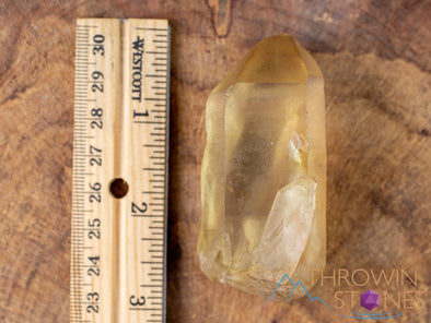 CITRINE Raw Crystal Point - Natural Citrine, Birthstone, Home Decor, Raw Crystals and Stones, 41180-Throwin Stones