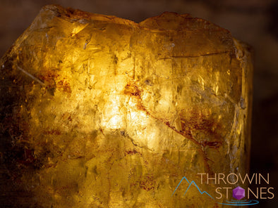 CITRINE Raw Crystal Point - Natural Citrine, Birthstone, Home Decor, Raw Crystals and Stones, 41184-Throwin Stones