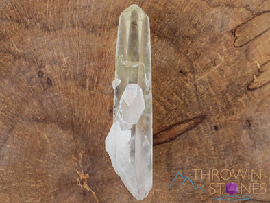 CITRINE Raw Crystal Point - Natural Citrine, Birthstone, Home Decor, Raw Crystals and Stones, 41436-Throwin Stones