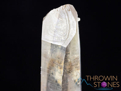 CITRINE Raw Crystal Point - Natural Citrine, Birthstone, Home Decor, Raw Crystals and Stones, 41437-Throwin Stones