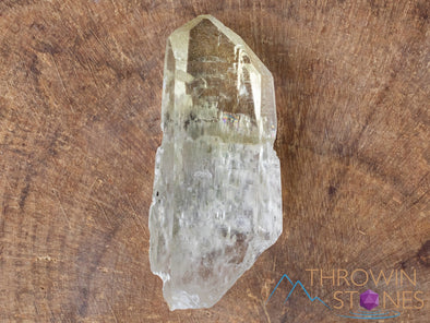 CITRINE Raw Crystal Point - Natural Citrine, Birthstone, Home Decor, Raw Crystals and Stones, 41442-Throwin Stones