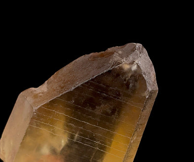 CITRINE Raw Crystal Point - Natural Citrine, Birthstone, Home Decor, Raw Crystals and Stones, 51794-Throwin Stones