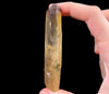 CITRINE Raw Crystal Point - Natural Citrine, Birthstone, Home Decor, Raw Crystals and Stones, 51795-Throwin Stones