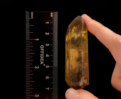 CITRINE Raw Crystal Point - Natural Citrine, Birthstone, Home Decor, Raw Crystals and Stones, 51807-Throwin Stones