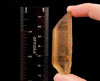 CITRINE Raw Crystal Point - Natural Citrine, Birthstone, Home Decor, Raw Crystals and Stones, 51814-Throwin Stones