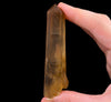 CITRINE Raw Crystal Point - Natural Citrine, Birthstone, Home Decor, Raw Crystals and Stones, 51837-Throwin Stones
