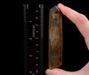 CITRINE Raw Crystal Point - Natural Citrine, Birthstone, Home Decor, Raw Crystals and Stones, 51839-Throwin Stones