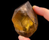 CITRINE Raw Crystal Point - Natural Citrine, Birthstone, Home Decor, Raw Crystals and Stones, 51874-Throwin Stones