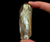 CITRINE Raw Crystal Point - Natural Citrine, Birthstone, Home Decor, Raw Crystals and Stones, 51889-Throwin Stones