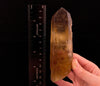 CITRINE Raw Crystal Point - Natural Citrine, Birthstone, Home Decor, Raw Crystals and Stones, 51913-Throwin Stones