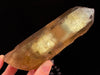 CITRINE Raw Crystal Point - Natural Citrine, Birthstone, Home Decor, Raw Crystals and Stones, 51913-Throwin Stones