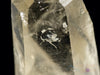 CITRINE Raw Crystal Point w PYRITE Phantom - Natural Citrine, Birthstone, Home Decor, Raw Crystals and Stones, 40094-Throwin Stones