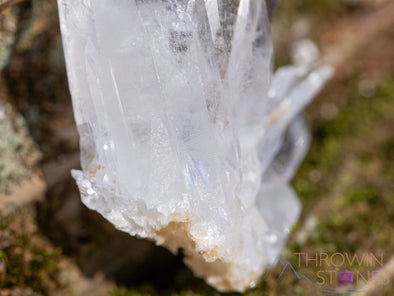 CLEAR QUARTZ Raw Crystal Cluster - Housewarming Gift, Home Decor, Raw Crystals and Stones, 39962-Throwin Stones
