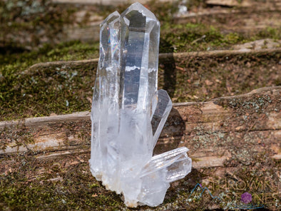 CLEAR QUARTZ Raw Crystal Cluster - Housewarming Gift, Home Decor, Raw Crystals and Stones, 39962-Throwin Stones