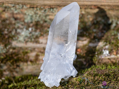 CLEAR QUARTZ Raw Crystal Cluster - Housewarming Gift, Home Decor, Raw Crystals and Stones, 39979-Throwin Stones