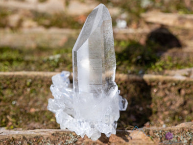 CLEAR QUARTZ Raw Crystal Cluster - Housewarming Gift, Home Decor, Raw Crystals and Stones, 39979-Throwin Stones