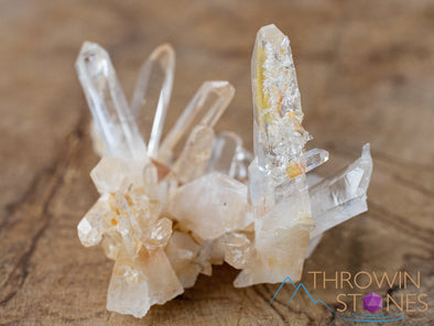 COLOMBIAN QUARTZ Raw Crystal Cluster - Housewarming Gift, Home Decor, Raw Crystals and Stones, 41197-Throwin Stones