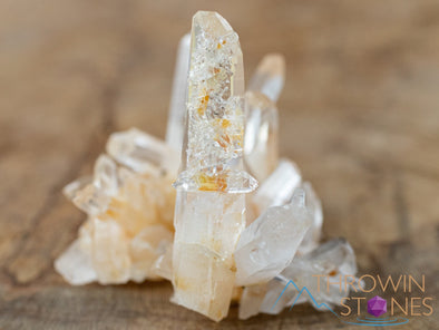 COLOMBIAN QUARTZ Raw Crystal Cluster - Housewarming Gift, Home Decor, Raw Crystals and Stones, 41197-Throwin Stones