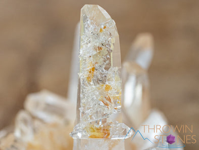 COLOMBIAN QUARTZ Raw Crystal Cluster - Housewarming Gift, Home Decor, Raw Crystals and Stones, 41197-Throwin Stones