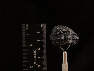 COLOMBIANITE Raw Crystal - Obsidian, Tektite, Gothic Home Decor, 45445-Throwin Stones