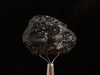 COLOMBIANITE Raw Crystal - Obsidian, Tektite, Gothic Home Decor, 45445-Throwin Stones