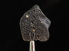 COLOMBIANITE Raw Crystal - Obsidian, Tektite, Gothic Home Decor, 45454-Throwin Stones