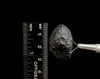 COLOMBIANITE Raw Crystal - Obsidian, Tektite, Gothic Home Decor, 45551-Throwin Stones