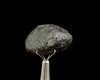 COLOMBIANITE Raw Crystal - Obsidian, Tektite, Gothic Home Decor, 45551-Throwin Stones