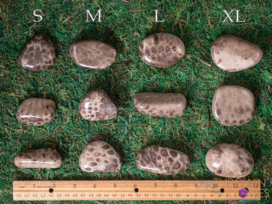 CORAL FOSSIL, Petoskey Stone Tumbled Stones - Tumbled Crystals, Self Care, Healing Crystals and Stones, E1861-Throwin Stones