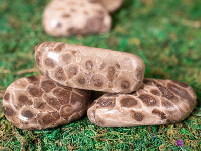 CORAL FOSSIL, Petoskey Stone Tumbled Stones - Tumbled Crystals, Self Care, Healing Crystals and Stones, E1861-Throwin Stones