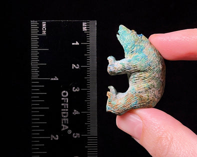 Chinese TURQUOISE Crystal Bear - Crystal Carving, Housewarming Gift, Home Decor, Healing Crystals and Stones, 52243-Throwin Stones