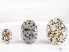 DALMATIAN JASPER Crystal Palm Stone - Worry Stone, Self Care, Healing Crystals and Stones, E1649-Throwin Stones