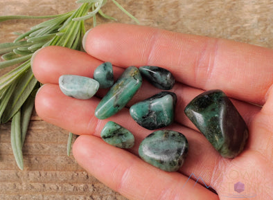 EMERALD Tumbled Stones - Polished Green Birthstone Crystals, Self Care, Jewelry Making, E0318-Throwin Stones