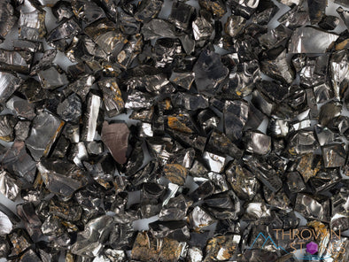 Elite NOBLE SHUNGITE Raw Crystal Chips from Raquirite, Colombia - Home Decor for EMF Radiation Protection, E1729-Throwin Stones