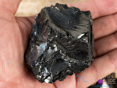 Elite NOBLE SHUNGITE Raw Crystal from Raquirite, Colombia - Home Decor for EMF Radiation Protection, E2084-Throwin Stones