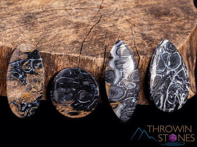 Fossilized PALM WOOD Crystal Cabochon - Teardrop, Round, Marquis, Oval - Gemstones, Jewelry Making, Crystals, E1714-Throwin Stones