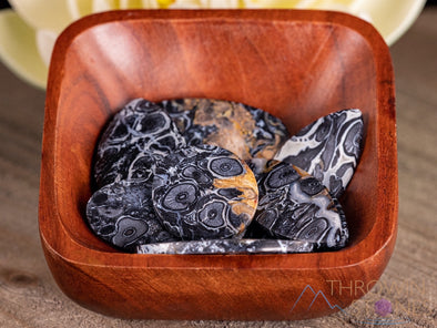 Fossilized PALM WOOD Crystal Cabochon - Teardrop, Round, Marquis, Oval - Gemstones, Jewelry Making, Crystals, E1714-Throwin Stones