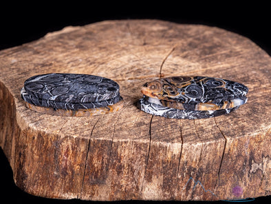 Fossilized PALM WOOD Crystal Cabochon - Teardrop, Round, Marquis, Oval - Gemstones, Jewelry Making, Crystals, E1714-Throwin Stones