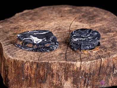 Fossilized PALM WOOD Crystal Cabochon - Teardrop, Round, Marquis, Oval - Gemstones, Jewelry Making, Crystals, E1714-Throwin Stones