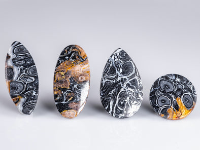 Fossilized PALM WOOD Crystal Cabochon - Teardrop, Round, Marquis, Oval - Gemstones, Jewelry Making, Crystals, E1714-Throwin Stones