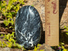 Fossilized PALM WOOD Crystal Palm Stone - Tumbled Crystals, Self Care, Healing Crystals and Stones, 40252-Throwin Stones