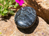 Fossilized PALM WOOD Crystal Palm Stone - Tumbled Crystals, Self Care, Healing Crystals and Stones, 40258-Throwin Stones