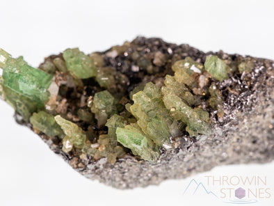 GARNET Raw Crystal Cluster - Housewarming Gift, Home Decor, Birthstone, Raw Crystals and Stones, 39325-Throwin Stones