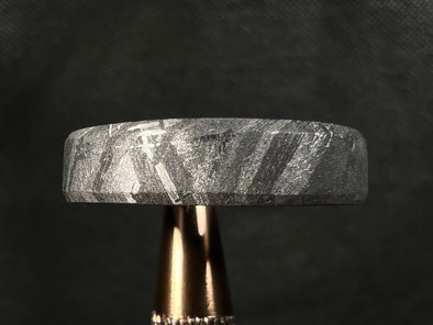 GIBEON Meteorite Ring - Size 12.5 - Meteorite Ring Men, Wedding Band Meteorite, Space Astronomy Gifts, A 51239-Throwin Stones