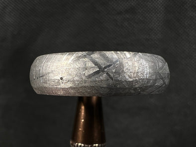 GIBEON Meteorite Ring - Size 12.5 - Meteorite Ring Men, Wedding Band Meteorite, Space Astronomy Gifts, A 51248-Throwin Stones