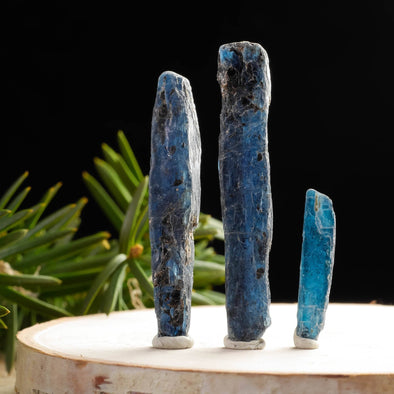 Gemmy Cobalt Blue Raw KYANITE Crystal Blades - Raw Rocks and Minerals Gemstones for Jewelry Making, E0789-Throwin Stones